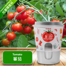 小花農簡易種植杯套裝  (蔬菜水果系列 : 小番茄) 